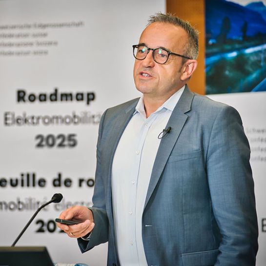 Roadmap Elektromobilität 2025